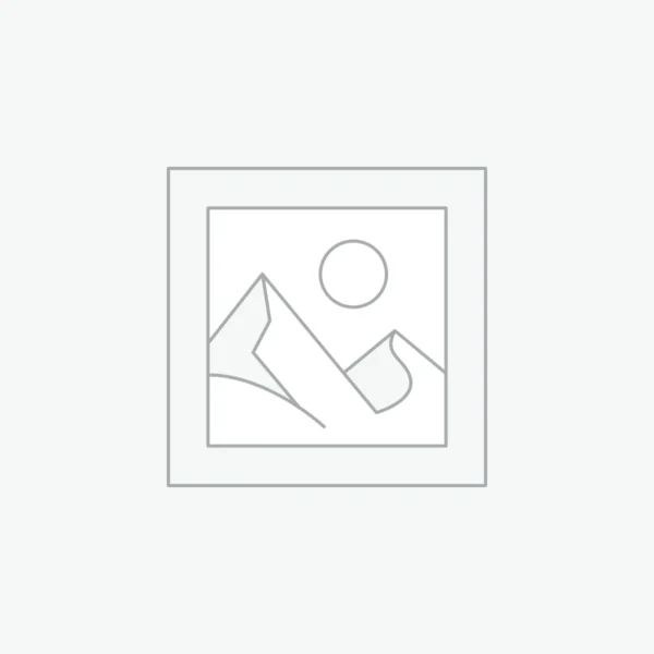 Brass Elephant Figurine